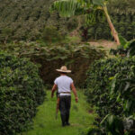 Las exportaciones de origen agropecuario impulsan las ventas externas de Colombia en el arranque de 2025